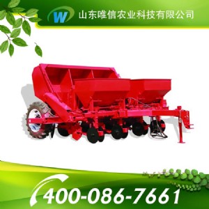 �p�����������Nֲ�C���p�����������Nֲ�C�r��