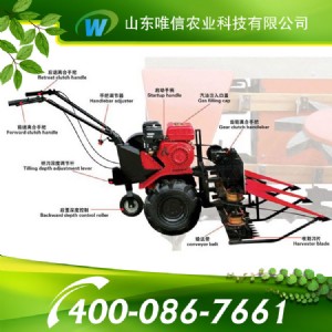 �����ո�C�������ո�C�r��