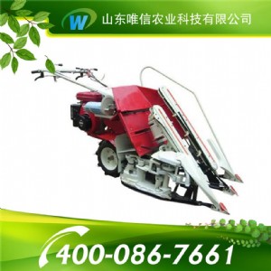 С��ˮ���ո�C С��ˮ���ո�C�r��