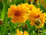 ���ݽ��u��undefined��������ɽ�|��Ʒ�|�ľG�����¼�