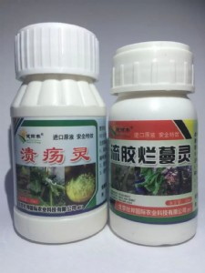 �S�����z����Ч���η���