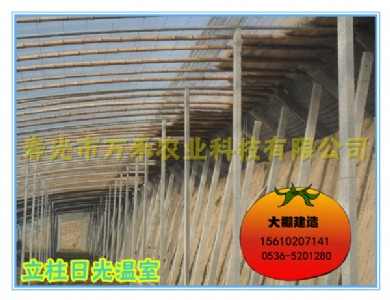 ���ҹ��̽��O|䓹�������ůʽ����