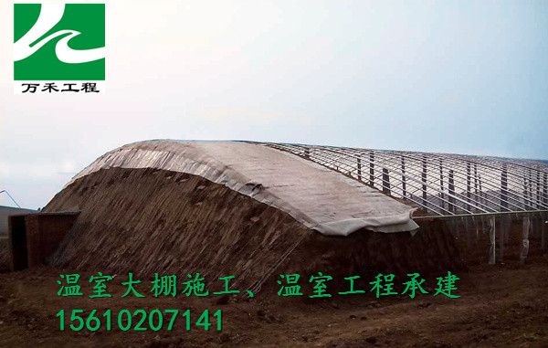 �ޱ�����