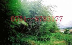 ����ë���� ������ �ۆ����� ������ ��������� �������