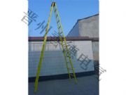 ����N��5�׽^��������