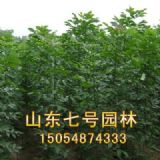 ������ͩ(�D)