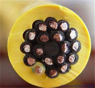 �����|_׃�l��|_�C������|_������|-ɽ�|��朏S��