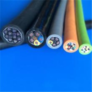 �������������|���͏���1000�f����������M��