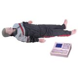 ����2010��߼��ķΏ��Kģ�M��,���Ȳ���Ӗ������ģ��(�D)