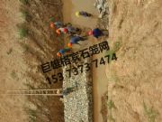 ���e�W�o��