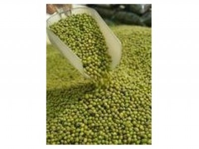 �����M�ڵľG��