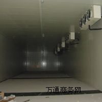 ����悽���̩�������w�ȵ��߲˱��r��