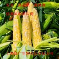 ���������ձ������ĠI�B���턩