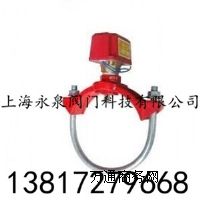 ZSJZ���R��ʽˮ��ָʾ�� �R��ʽˮ��ָʾ�� �S��ֱ�N