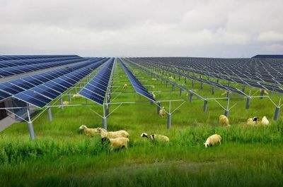 2018ɽ�|����Դ�r�I�b��չ��