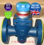 BRV2S�p���y-˹��ɯ��BRV2Sֱ������ʽ�p���y