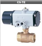 KITZ����С�͚�����yCS-TE