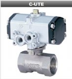 C-UTE��������y-C-1��ӈ�����KITZ����