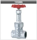 10SMS�z���l�y-10SM�z���l�yKITZ����