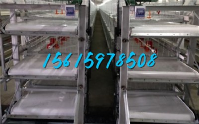 �B(y��ng)�u���u�S���͎�-pp���͎��r��