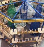 ��ͯ̽�U��е ��ͯ̽�U���@�O��S��