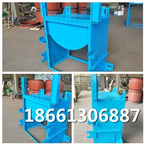 Ƥ����������L�T���I�L�T���g�³�