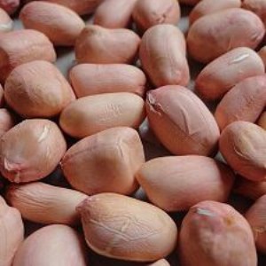 �ļ���Խ�����P��������