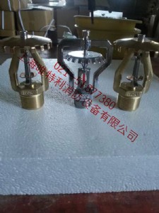 ESFR-1�������ƿ���푑�(y��ng)���^K=202 74��