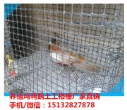 ���S���l�Bֳ�����������������ŷ��o�W��r