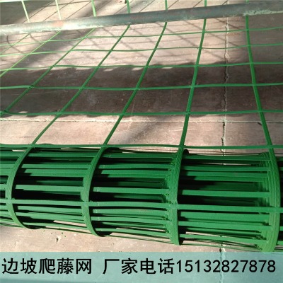 ߅�����پW(w��ng) �G����žW(w��ng) �Vɽ���G�W(w��ng) �S�����l(f��)