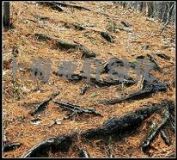 ������픻��@�p�|������픻��@�p�|(�D)