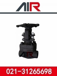 �M(j��n)�ڳв庸�l�y