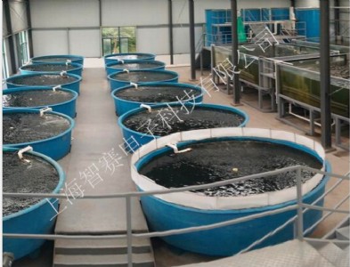 ���S��ѭ�h(hu��n)ˮˮ�a(ch��n)�B(y��ng)ֳ���ܱO(ji��n)�y(c��)ϵ�y(t��ng)