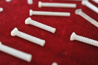 �����չ��