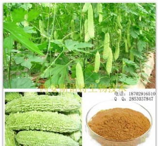 ���߰10�� ����Ȼ�����ȡ��  ��Ϸ� ����ǃ��|����ԭ