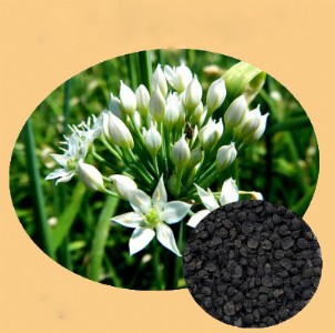 ���|�²�����ȡ�� �²�����ȡ�� �²˷�  ����Ʒ�|