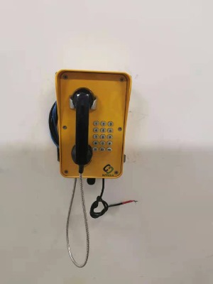 工業(yè)壁掛式電話機(jī)抗噪擴(kuò)音電話機(jī)應(yīng)急求助電話機(jī)