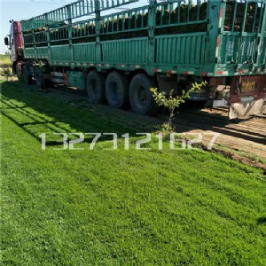 �ӱ��e����ƺ