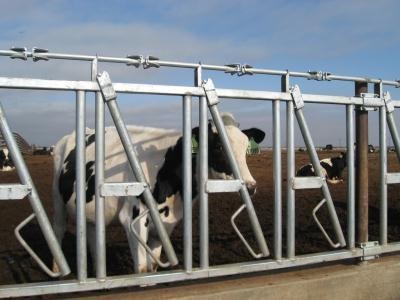 ���iʽţ�i�Ͻ�B