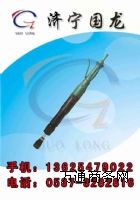 ������ӓv�̙C  �v�̙C D3�v�̙C D6�v�̙C