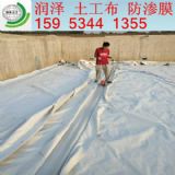 600�ˏͺ�����Ĥ�r��