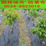 ���@���ݲ�ÿƽ�׃r��