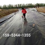 0.3������ź��Ĥ����һƽ��