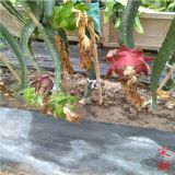 ɽ�|���ݲ��r(ji��)��