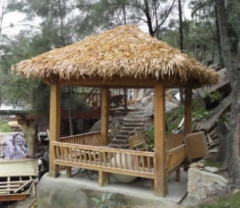 ��Ϫ���|����é�ݲ������l�r�񡢘�֬����é�ݏS��