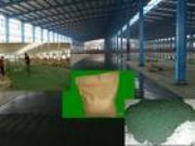 ����(y��ng)�H���I�ݽ���ɰ��ƺ����(�D)