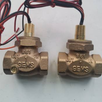 Gems���~FS-200ֱͨʽ�����_�P