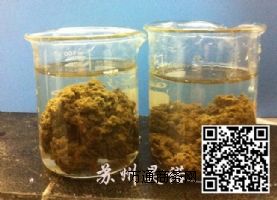 �M���������r��