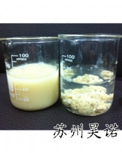 �����������������w�۱�ϩ����