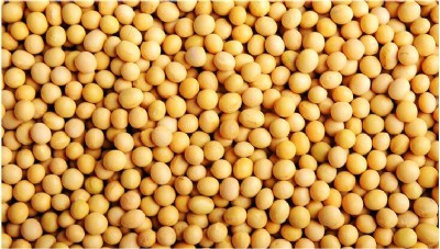 ȫ���r�S��